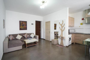 1-BDR comfort apartment near Opera house
